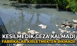 Kesilmedik ceza kalmadı, fabrikalar kirletmekten bıkmadı!