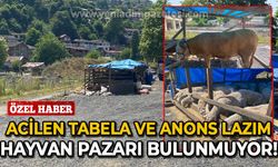 Acilen tabela ve anons lazım: Zonguldak'ta hayvan pazarı bulunamıyor!