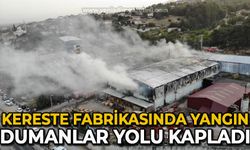 Kereste fabrikasında yangın: Dumanlar yolu kapladı