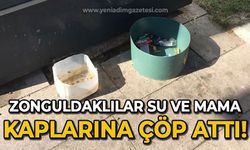 Zonguldaklılar su ve mama kaplarına çöp attı!