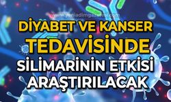 Diyabet ve kanser tedavisinde silimarinin etkisi araştırılacak