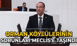 Orman köylülerinin sorunları meclise taşındı