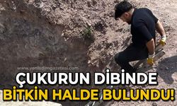 Çukurun dibinde bitkin halde bulundu!