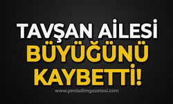 Tavşan ailesi büyüğünü kaybetti