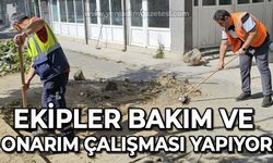 Ekipler bakım ve onarım çalışması yapıyor: İlçe daha da güzelleşecek