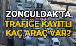 Zonguldak'ta trafiğe kayıtlı kaç araç var?