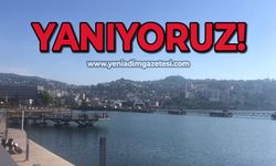 Zonguldak cayır cayır yanıyor!