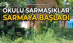 Okulu sarmaşıklar sarmaya başladı