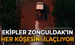 Zonguldak'ın her köşesi ilaçlanıyor