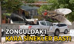 Zonguldak'ı kara sinekler bastı