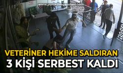 Veteriner hekime saldıran 3 kişi serbest kaldı