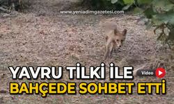 Yavru tilki ile bahçede sohbet etti