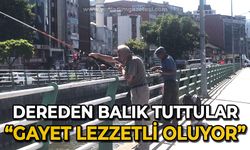 Üzülmez Deresi'nden balık tuttular: Gayet lezzetli oluyor