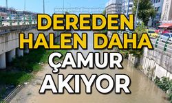 Dereden halen daha çamur akıyor