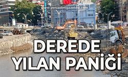 Derede yılan paniği