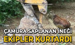 Çamura saplanan ineği ekipler kurtardı