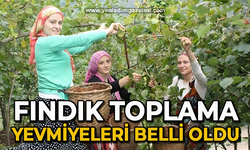 Fındık işçilerinin yevmiyeleri belli oldu