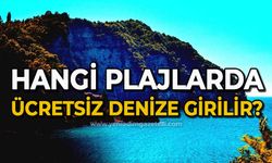 Hangi plajlarda ücretsiz denize girilir?