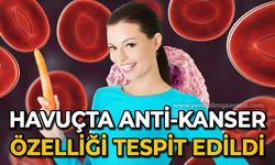 Havuçta anti-kanser özelliği tespit edildi