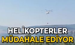 Büyük yangın çıktı: Helikopterler müdahale ediyor!