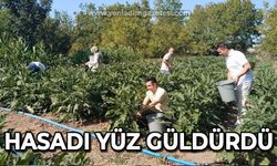 Hasadı yüz güldürdü: Rekolte kırıldı