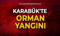 Karabük'te orman yangını