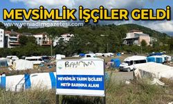 Mevsimlik işçiler geldi