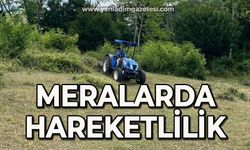 Meralarda hareketlilik