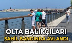 Olta balıkçıları sahil bandında avlandı