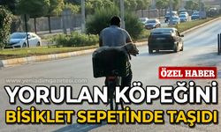 Yorulan köpeğini bisikletinin sepetinde taşıdı