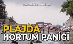 Plajda hortum paniği