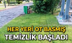 Her yeri ot basmış: Temizlik başladı