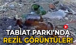 Tabiat Parkı'nda utanç verici görüntü!