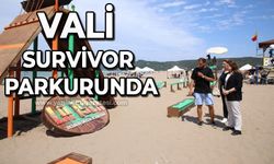 Vali Survivor parkurunda