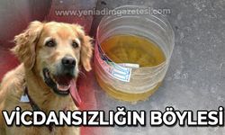 Vicdansızlığın böylesi: Su kaplarına izmarit attılar!