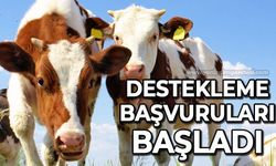 Destekleme başvuruları başladı