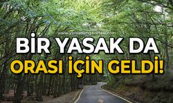 Bir yasak da orası için geldi!