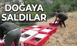 Bin 200 keklik doğaya salındı