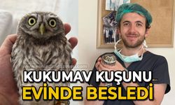 Kukumav kuşunu evinde besledi