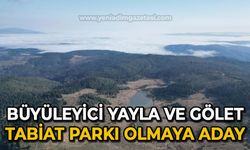 Büyüleyici yayla ve gölet Tabiat Parkı olmaya aday