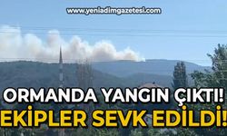 Ormanda yangın çıktı: Ekipler sevk edildi!