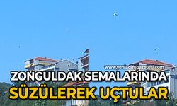 Zonguldak semalarında süzülerek uçtular