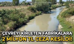 Çevreyi kirleten fabrikalara 2 milyon TL ceza kesildi