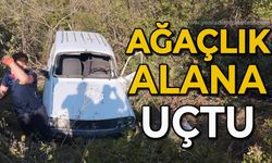 Yoldan çıktı, ağaçlık alana uçtu