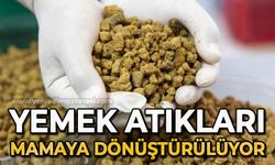 Yemek atıkları mamaya dönüştürülüyor