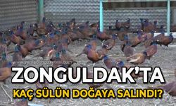 Zonguldak'ta kaç sülün doğaya salındı?
