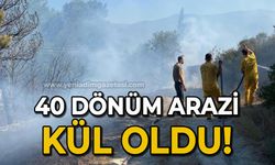 Anız yangınında 40 dönümlük arazi kül oldu