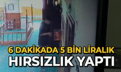 6 dakikada 5 bin liralık hırsızlık yaptı