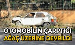 Otomobilin çarptığı ağaç üzerine devrildi