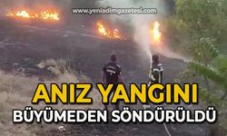 Anız yangını büyümeden söndürüldü